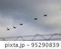 ブルーインパルスシルエット 95290839