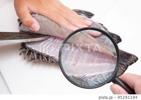 鮮魚と虫眼鏡　寄生虫と食の安全　イメージ 95291194