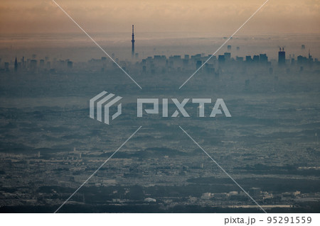 丹沢山地・塔ノ岳から見る早朝の都心のビル群と東京スカイツリー 95291559