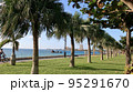 海浜公園 95291670