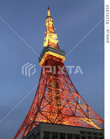 東京観光：東京タワーライトアップ 95291850