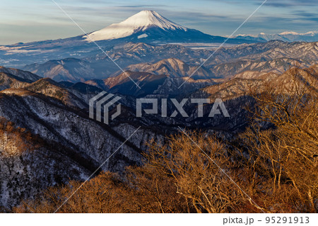 冬の丹沢山地・塔ノ岳から見る富士山 95291913