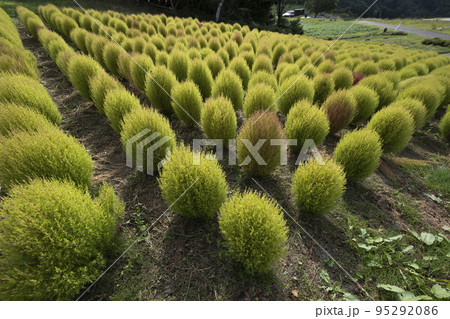 整列 整列 95292086