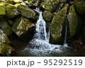 山の中を流れる清流 95292519