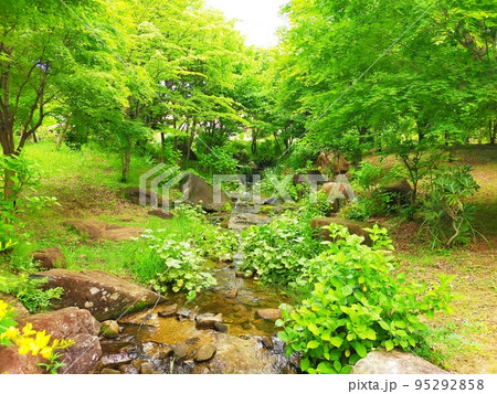 綺麗な小川 綺麗な小川 95292858