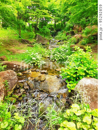 綺麗な小川 95292859