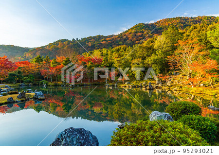 京都嵯峨嵐山の秋　世界遺産　紅葉の天龍寺　曹源池庭園 95293021