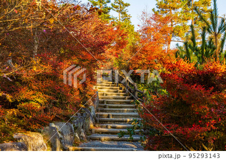 京都嵯峨嵐山の秋 世界遺産 紅葉の天龍寺 望京の丘 京都嵯峨嵐山の秋 世界遺産 紅葉の天龍寺 望京の丘 95293143