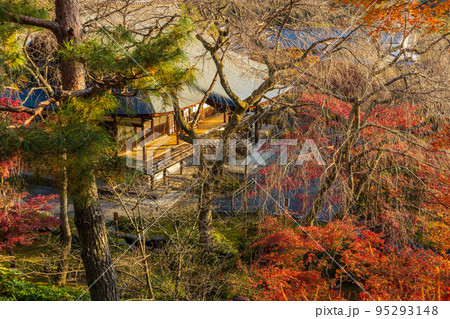 京都嵯峨嵐山の秋 世界遺産 紅葉の天龍寺 望京の丘 京都嵯峨嵐山の秋 世界遺産 紅葉の天龍寺 望京の丘 95293148