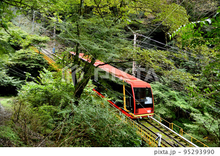 高野山ケーブル・不動坂道(左)　【和歌山県伊都郡高野町】 95293990