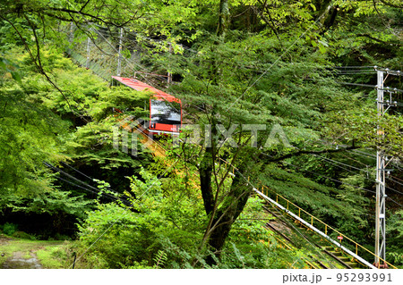 高野山ケーブル・不動坂道(左)　【和歌山県伊都郡高野町】 95293991