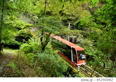高野山ケーブル・不動坂道(左)　【和歌山県伊都郡高野町】 95293992