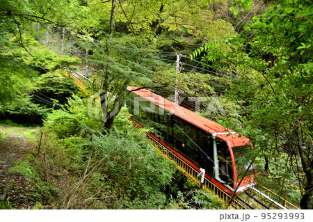 高野山ケーブル・不動坂道(左) 【和歌山県伊都郡高野町】 高野山ケーブル・不動坂道(左) 【和歌山県伊都郡高野町】 95293993
