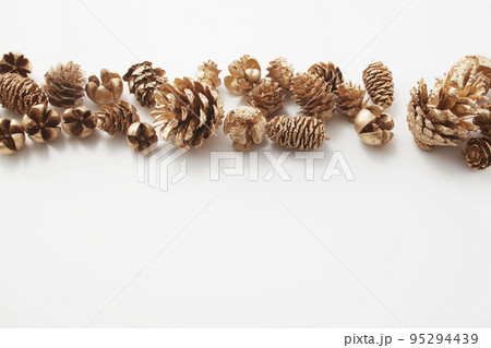 ゴールドに塗られた松ぼっくりや木の実 ゴールドに塗られた松ぼっくりや木の実 95294439