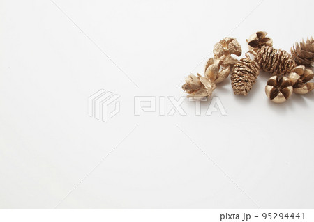 ゴールドに塗られた松ぼっくりや木の実 95294441