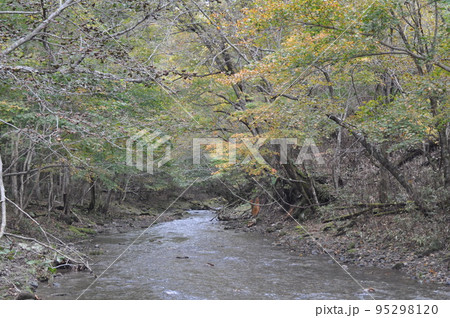 北海道白老 渓流 北海道白老 渓流 95298120
