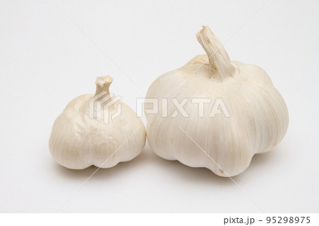 大小のにんにく 95298975