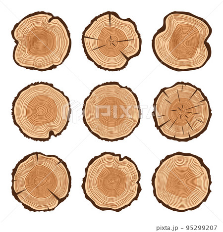 Round tree trunk cuts with cracks, sawn pine or oak slices, lumber. Saw cut timber, wood. Brown wooden texture with tree rings. Hand drawn sketch. Vector illustration Round tree trunk cuts with cracks, sawn pine or oak slices, lumber. Saw cut timber, wood. Brown wooden texture with tree rings. Hand drawn sketch. Vector illustration 95299207