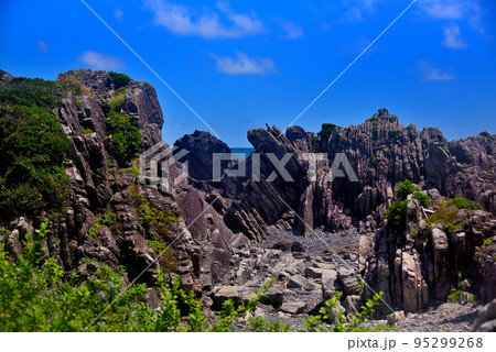 四国・室戸岬・室戸岬遊歩道・しましまの地層、タービダイトと呼ばれる岩の造形・高知県室戸岬町 95299268