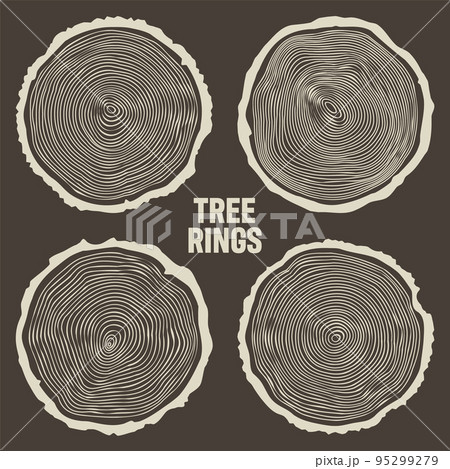 Round tree trunk cuts, sawn pine or oak slices, lumber. Saw cut timber, wood. Brown wooden texture with tree rings. Hand drawn sketch. Vector illustration Round tree trunk cuts, sawn pine or oak slices, lumber. Saw cut timber, wood. Brown wooden texture with tree rings. Hand drawn sketch. Vector illustration 95299279