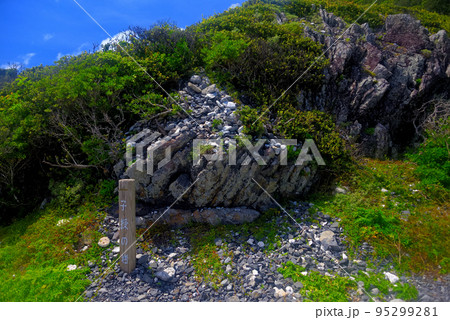 四国・室戸岬・室戸岬遊歩道・珊瑚(サンゴ)も供えてある子宝祈願、子授の岩・高知県室戸市室戸岬町(2) 四国・室戸岬・室戸岬遊歩道・珊瑚(サンゴ)も供えてある子宝祈願、子授の岩・高知県室戸市室戸岬町(2) 95299281