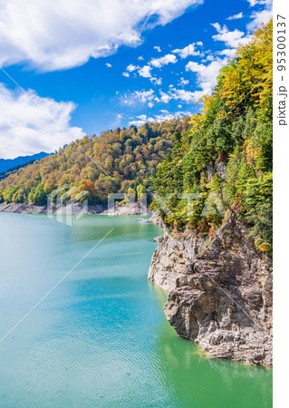 (富山県)紅葉が始まった黒部ダム湖畔 (富山県)紅葉が始まった黒部ダム湖畔 95300137