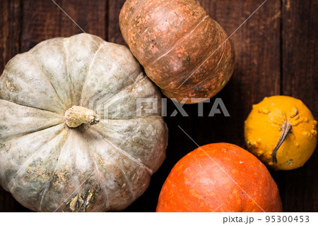 ecological pumpkins of various varietieson a wooden background ecological pumpkins of various varietieson a wooden background 95300453