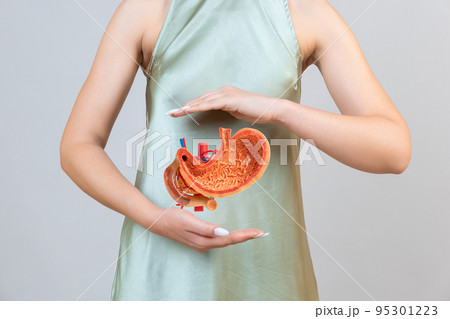 woman is holding mock stomach in the hands. Help and care concept woman is holding mock stomach in the hands. Help and care concept 95301223