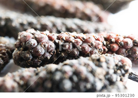 乾燥ヒハツ 95301230