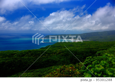 四国・室戸岬・高岡園地展望台から眺める高知方向の美しい海岸線の風景・高知県室戸岬町(4) 四国・室戸岬・高岡園地展望台から眺める高知方向の美しい海岸線の風景・高知県室戸岬町(4) 95301288
