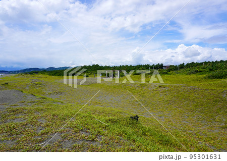 平塚海岸　波とビーチと青空 95301631