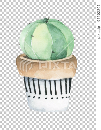 Cactus potted. Watercolor illustration. Cactus potted. Watercolor illustration. 95302201