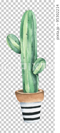 Cactus potted. Watercolor illustration. 95302214