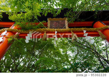 宇治上神社 宇治上神社 95302220