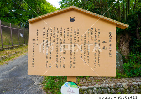 さわらびの道 早蕨 さわらびの道 早蕨 95302411