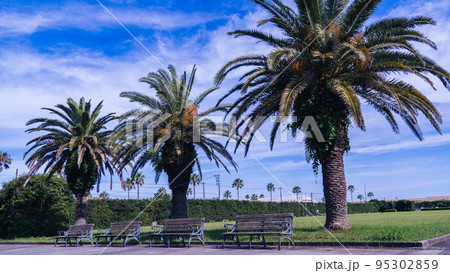 竜洋海浜公園 95302859