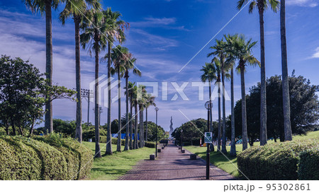 竜洋海浜公園 95302861