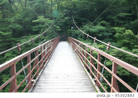 鬼怒川温泉郷絶景の宿絹の渓谷碧流滝見橋(吊橋)からの風景 鬼怒川温泉郷絶景の宿絹の渓谷碧流滝見橋(吊橋)からの風景 95302883