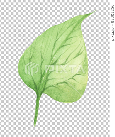 Green leaf. Watercolor illustration. 95303256