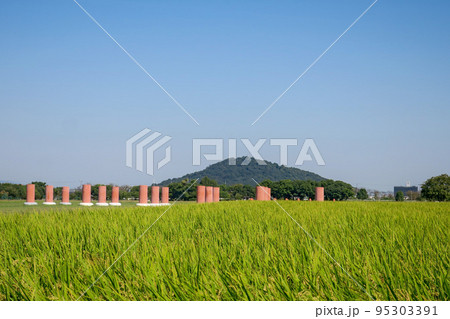 奈良・藤原宮跡 朝堂院南門跡と耳成山 奈良・藤原宮跡 朝堂院南門跡と耳成山 95303391