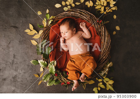 Newborn in a nest decorated with autumn branches Newborn in a nest decorated with autumn branches 95303900