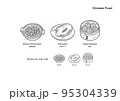 中華料理のイラスト（麻婆豆腐、北京ダック、焼売 / 線画、モノクロ） 95304339