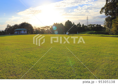 公園の芝生　太陽 95305138