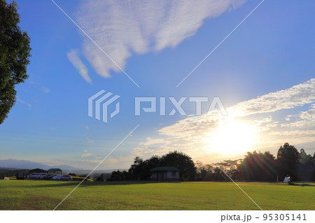 公園の芝生　太陽 95305141