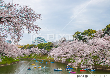 東京都 千鳥ヶ淵・桜風景 東京都 千鳥ヶ淵・桜風景 95305242