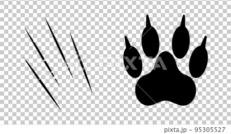 Paws with claws. Nail scratches. animal attack. vector. 95305527