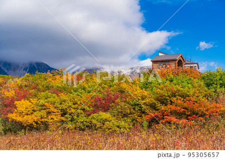 （長野県）白馬八方尾根スキー場　紅葉が美しい、蒲池湿原 95305657