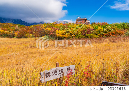 （長野県）白馬八方尾根スキー場　紅葉が美しい、蒲池湿原 95305658