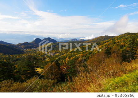 長野県志賀高原の秋の風景 長野県志賀高原の秋の風景 95305866