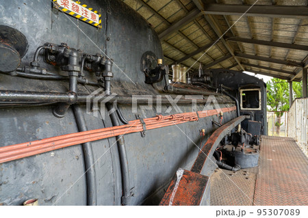 中舞鶴公園 95307089